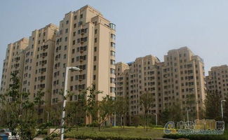 奥园房产燃气怎么开（新奥燃气自助开户）