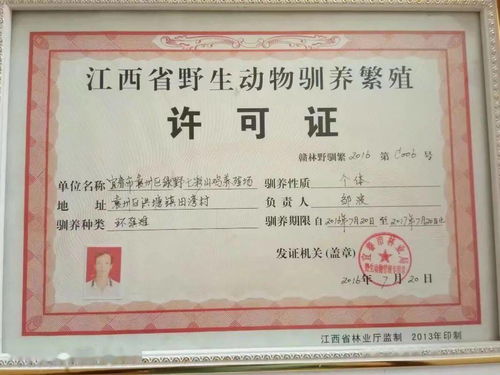 长沙怎么取得房产证(长沙办理房产证需要哪些资料) 长沙怎么取得房产证(长沙办理房产证需要哪些资料)