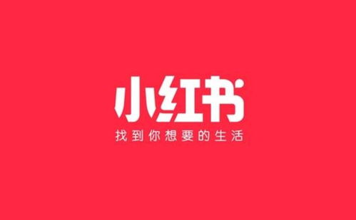 小红书房产怎么吸粉(小红书怎么吸粉推广) 小红书房产怎么吸粉(小红书怎么吸粉推广)