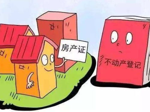 复杂的房产归属怎么写好（房子产权归属怎么填写）