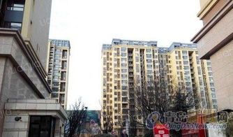 星阳房产怎么样(星阳新村二手房源) 星阳房产怎么样(星阳新村二手房源)