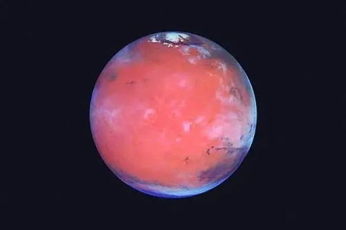人工胚胎首次送太空(人工培育胚胎) 人工胚胎首次送太空(人工培育胚胎)
