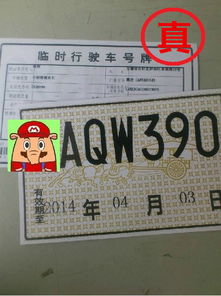 为什么是“六张网”六张牌叫什么）