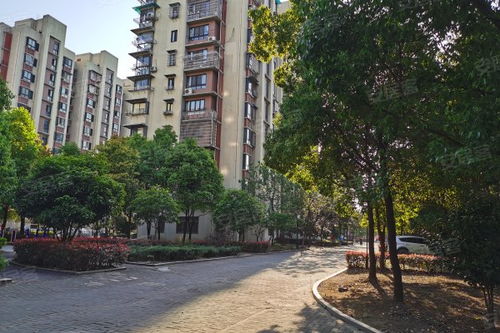 瑶溪房产怎么样(瑶溪住宅区一组团房价) 瑶溪房产怎么样(瑶溪住宅区一组团房价)