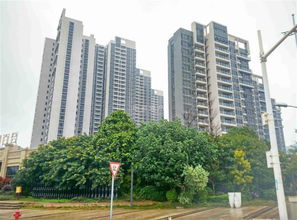 广州中原房产怎么样(广州中原房地产怎么样) 广州中原房产怎么样(广州中原房地产怎么样)
