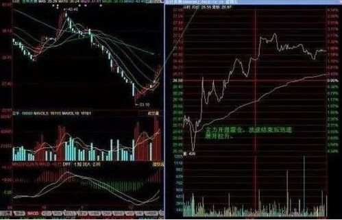 房产经纪新人怎么洗盘(房产经纪人如何快速上手) 房产经纪新人怎么洗盘(房产经纪人如何快速上手)