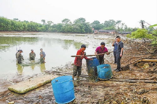 放水养鱼游戏攻略 放水养鱼游戏攻略