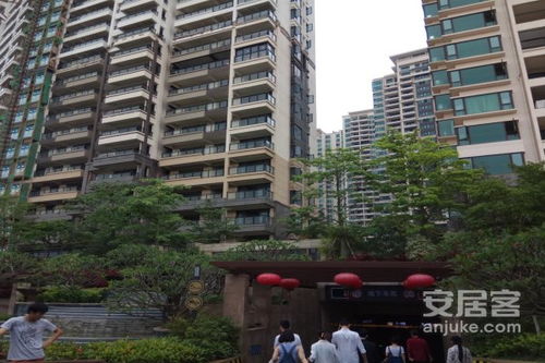 鲁班建设房产怎么样(山东鲁班建设)
