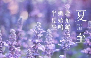 夏至的至是什么至(夏至中的至的含义)