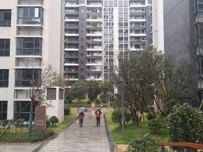 怀化小宝房产怎么样(怀化小宝房产怎么样啊) 怀化小宝房产怎么样(怀化小宝房产怎么样啊)