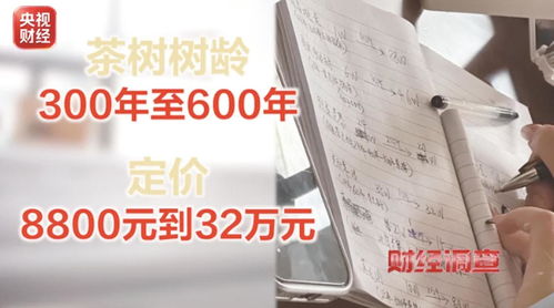 27位茶农20个是演员(茶农的茶) 27位茶农20个是演员(茶农的茶)
