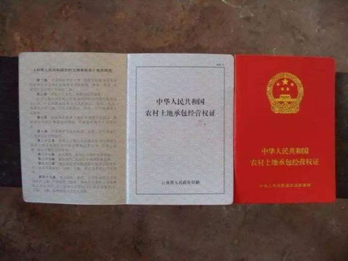 无房产证怎么告(没有房产证的官司好打吗) 无房产证怎么告(没有房产证的官司好打吗)