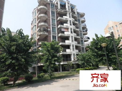 龙地房产怎么样(龙地锦园最新消息) 龙地房产怎么样(龙地锦园最新消息)