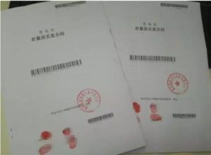 房产备案合同怎么改名(房产备案合同改名备案合同号还需要改吗) 房产备案合同怎么改名(房产备案合同改名备案合同号还需要改吗)