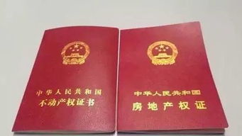 房产交税单子怎么查（房屋税费怎么查询）
