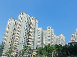海城小玲房产怎么样(海城小玲房产怎么样啊) 海城小玲房产怎么样(海城小玲房产怎么样啊)