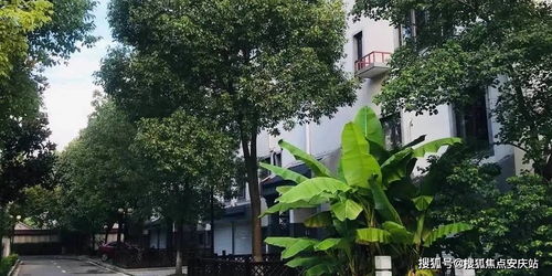 房产探房商铺怎么过户(房产商铺过户费用多少钱) 房产探房商铺怎么过户(房产商铺过户费用多少钱)
