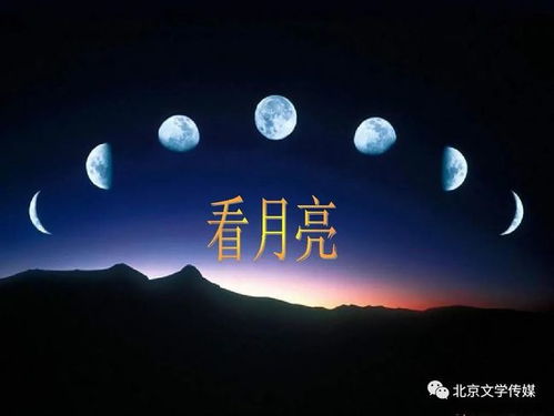 1点点致歉（一点点语录）