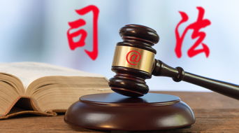 房产纷争怎么打官司再审（房产纠纷处理大全）