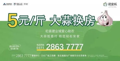 怎么做好的房产视频（售房视频制作）