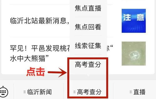 山东高考分数线公布，分数线揭晓，学子们迈向人生新篇章