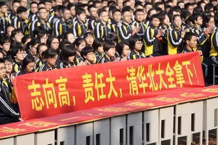 衡水二中考生创纪录，710分高分震撼全国！