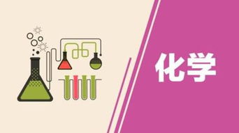 707分考生独家揭秘，高效学习策略助力高分冲刺
