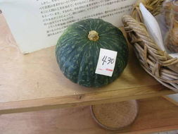3块薯饼惊现500元人民币，揭秘餐饮业的天价现象