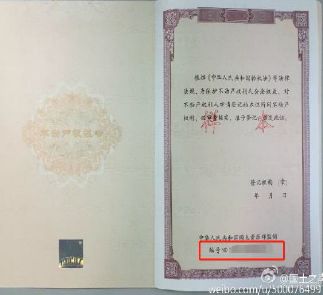 丈夫欠债，房产如何处理？法律指南与操作步骤详解