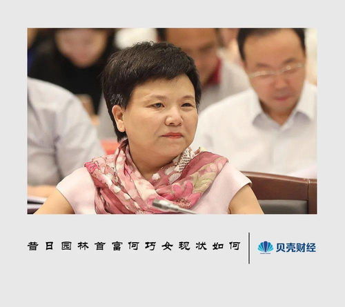 房产拍卖市场动态，如何准确描述拍卖情况