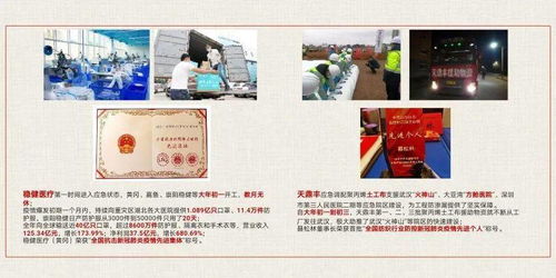 房产倒卖案例分析，如何撰写深度剖析报告