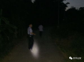 老人伪装游客，毒品暗藏旅途中——揭秘一场惊心动魄的运毒行动