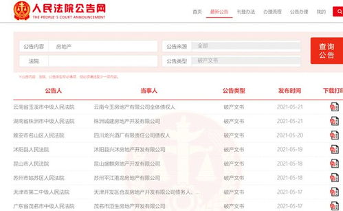 如何查询房产负债总额，全面解析房产负债情况的方法