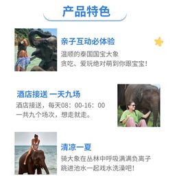 彝族姑娘查分后喂猪，一份意外的选择，一份生活的坚持