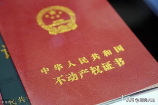 房产预告登记查询攻略，轻松掌握房产信息