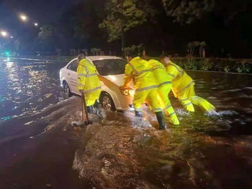 五粮液迅速回应地震影响，积极应对，确保生产稳定