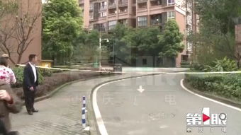 上海小区惊现鳄鱼！居民生活紧急疏散，警方紧急介入调查