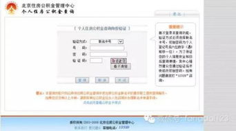 如何查询法院冻结的房产——实用指南