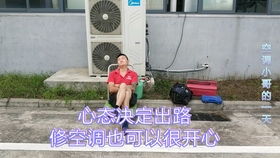猪圈装空调，欧洲破防，一场跨文化幽默的碰撞