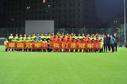 孩子上学，迎来新时代的巨大变革——探索教育新篇章